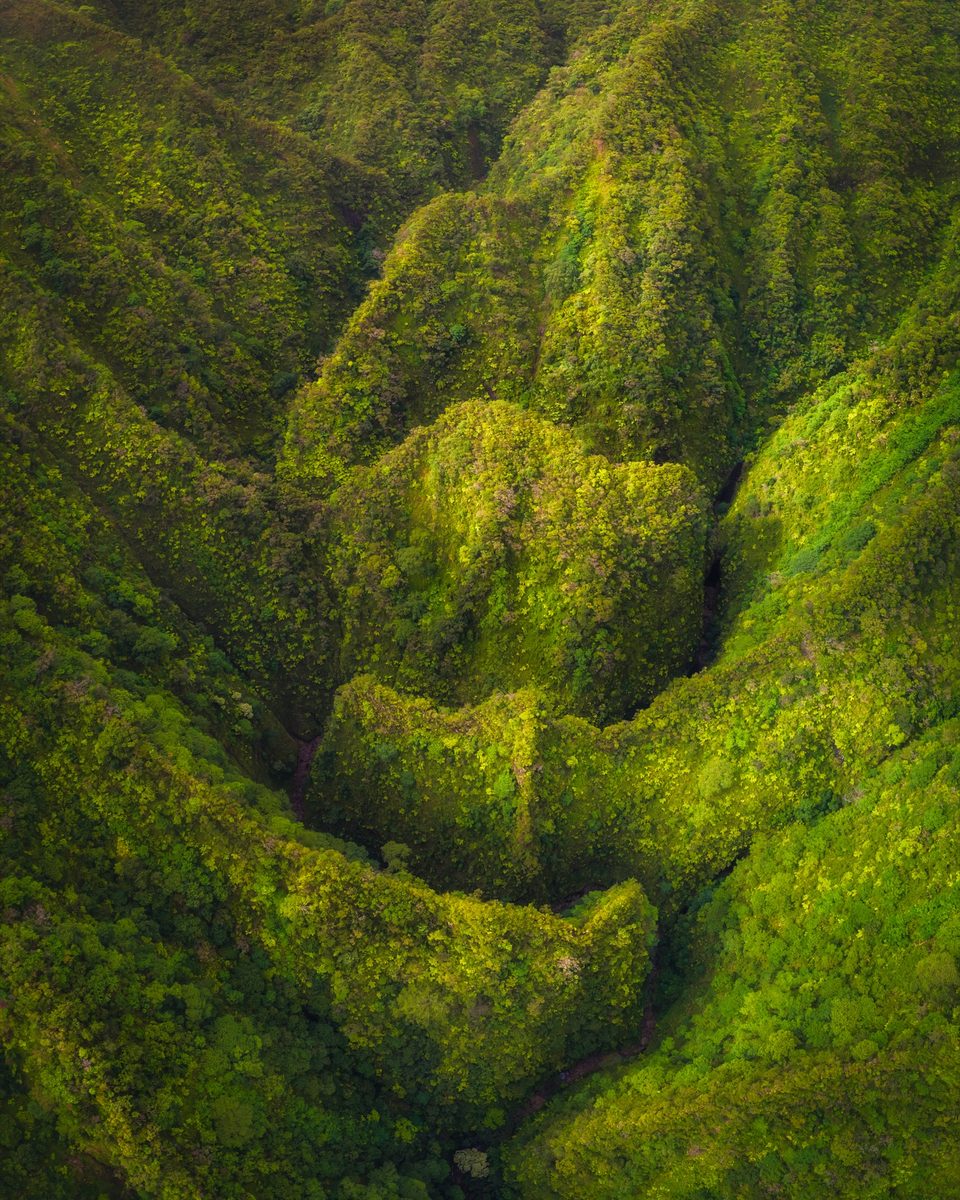 Aerial view down a deep green valley in the Koʻolau Mountains, its sheer walls carved by rain into folds and ridges