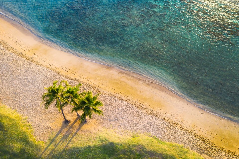 Aerial view of three coconut palms casting long shadows across a sandy beach beside turquoise water on the east side of Oʻahu