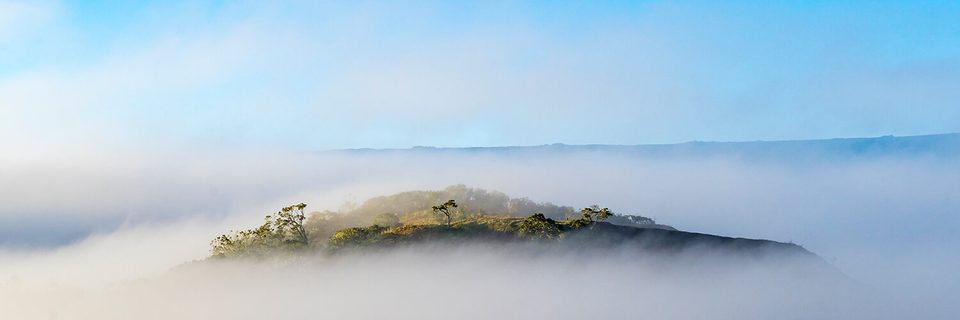 A forested ridge rising out of a sea of cloud under a clear blue sky