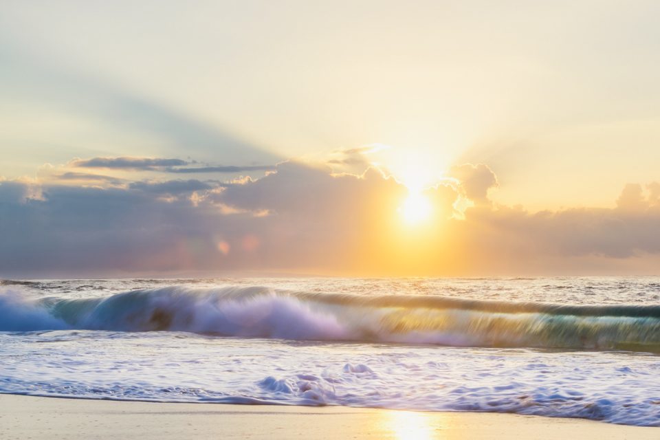 A breaking wave backlit by the rising sun at Sandy Beach, Oʻahu