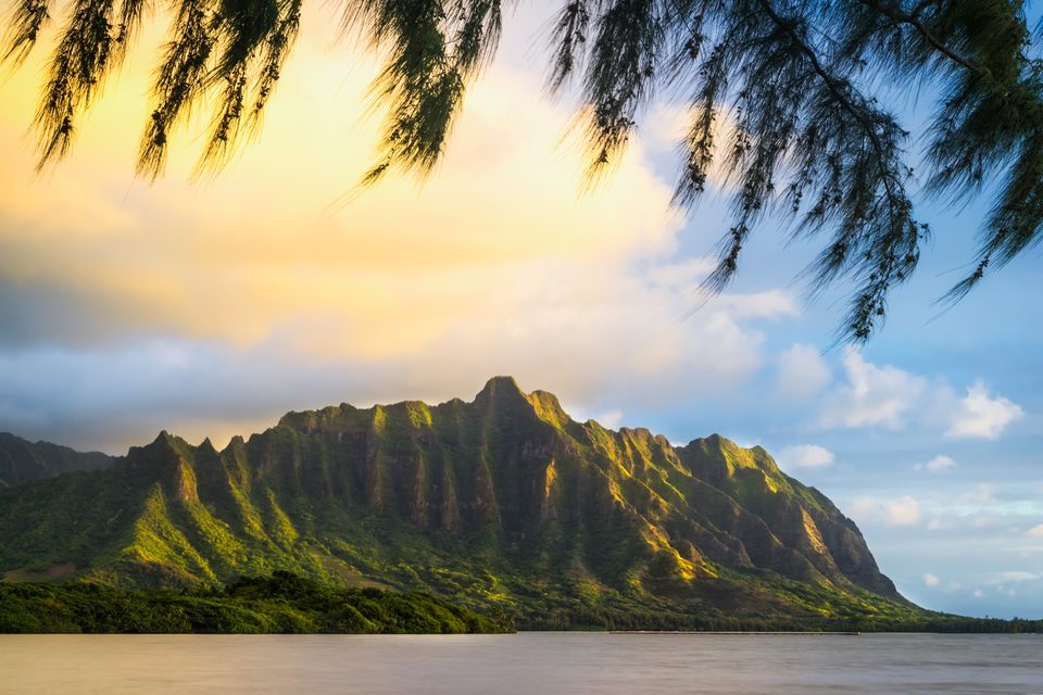 The Kaʻaʻawa ridge at sunrise, framed by ironwood branches along the shore