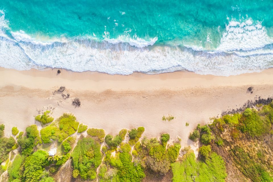 Straight-down aerial of Makapuʻu Beach, white sand and green dune plants between turquoise surf