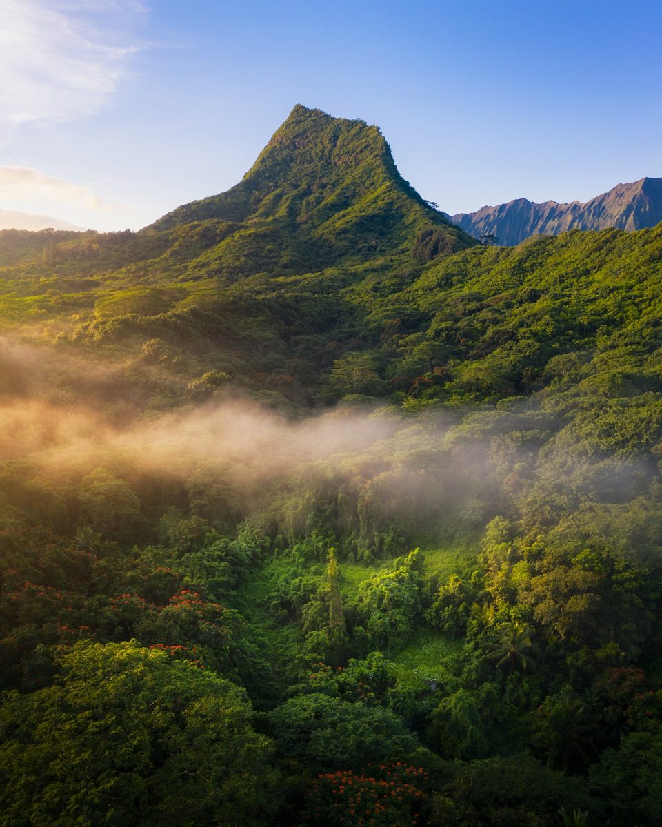 Aerial view of the sharp peak of Olomana rising over a misty rainforest in Maunawili, with the Koʻolau cliffs behind it
