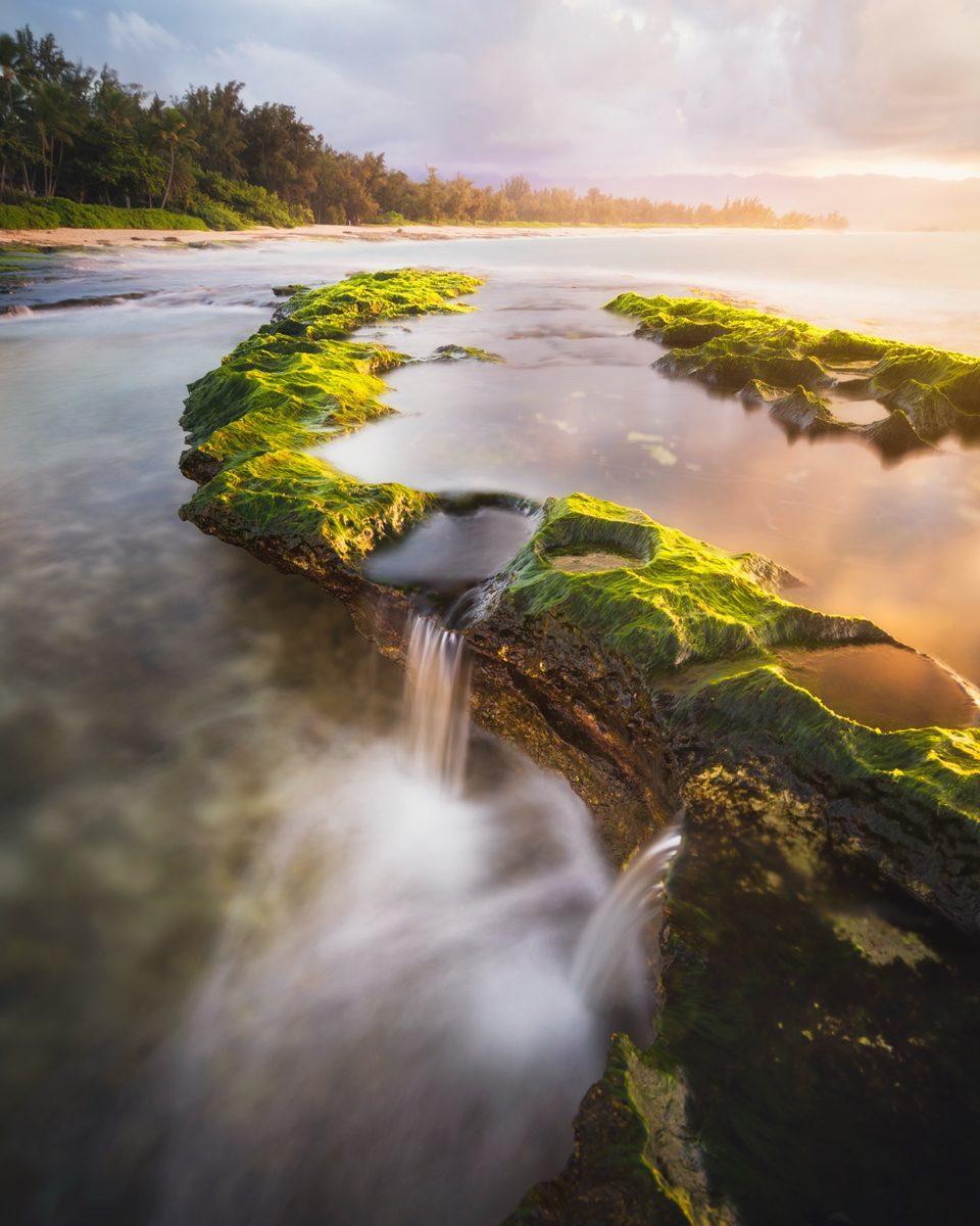 Water pouring off a moss-covered reef at low tide on the North Shore at sunset